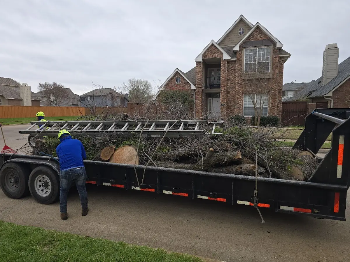 Expert Tree Removal with proper safety equipment in Iron City